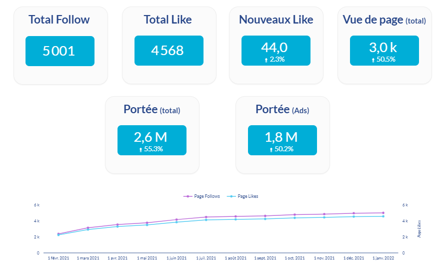 Exemple rapport social media